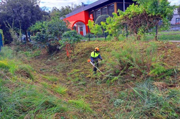 Travaux de débroussaillage Marguerittes