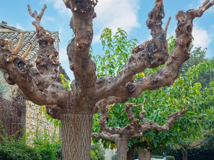 Espace vert Marguerittes