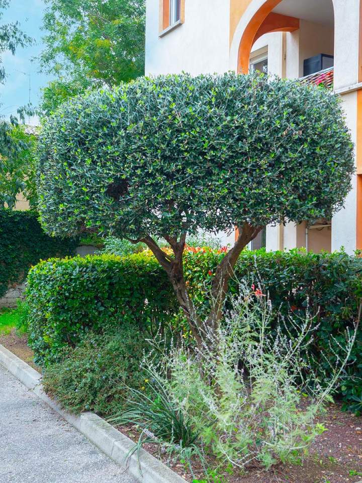 Entretien d'espace vert Marguerittes