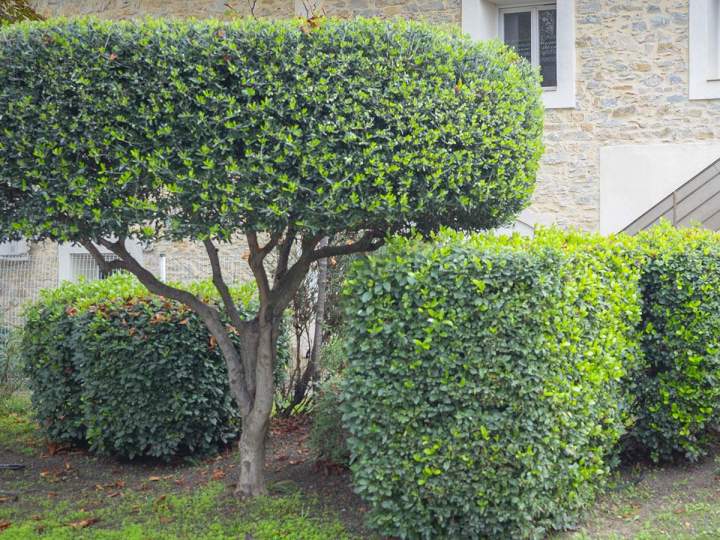 Espace vert Marguerittes
