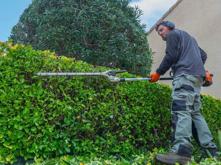 Tondre votre pelouse Marguerittes