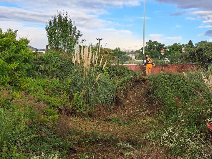 Entretien d'espace vert Marguerittes