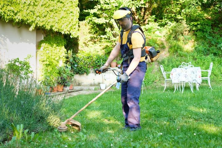 Débroussaillage méthodique